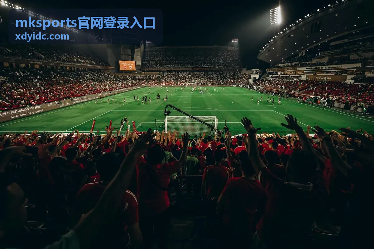 mksports登录验证码错误刷新说明封面