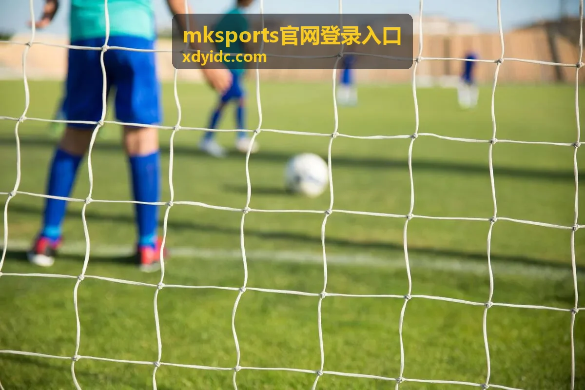 mksports登录密码正确无法进入账号说明封面